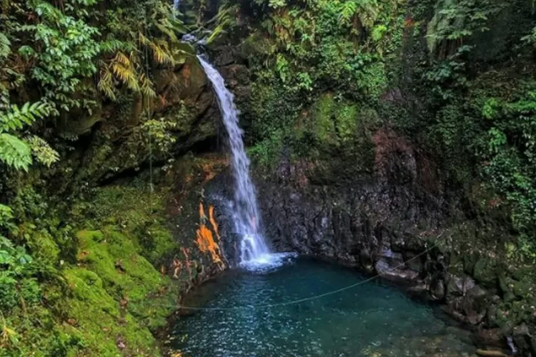 Pesona Curug Goa Lumut Endah sebagai tempat wisata yang miliki pesona memukau (Instagram/@goa_lumutendah)