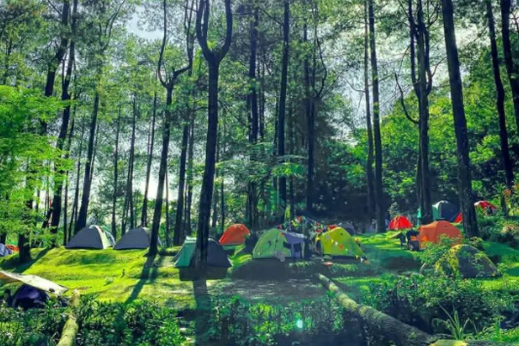 View Lembah Pasir Sumbul yang cocok untuk tempat healing karena serasa di negeri dongeng (Instagram/@lembar_pasir_sumbul)