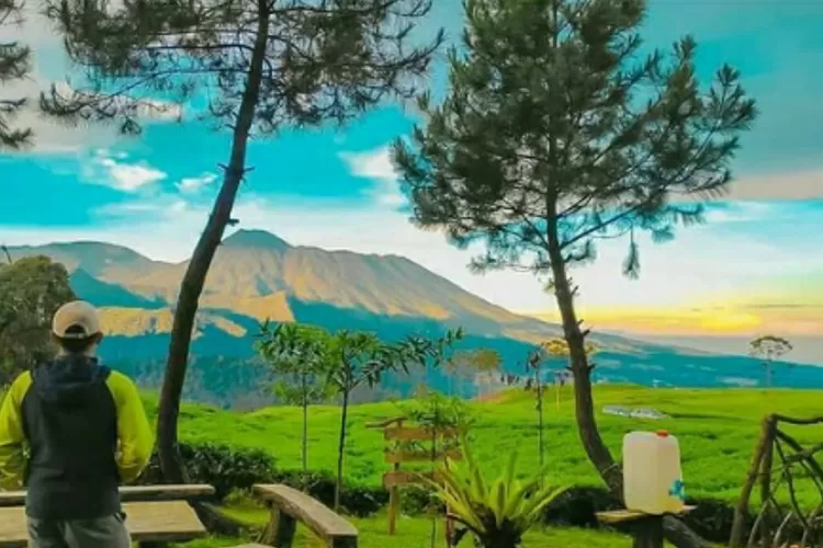 Smart Camp Gunung Luhur memberikan nuansa tampat camping di hamparan kebun teh dan pegunungan (Instagram/@camping_gunungluhur)