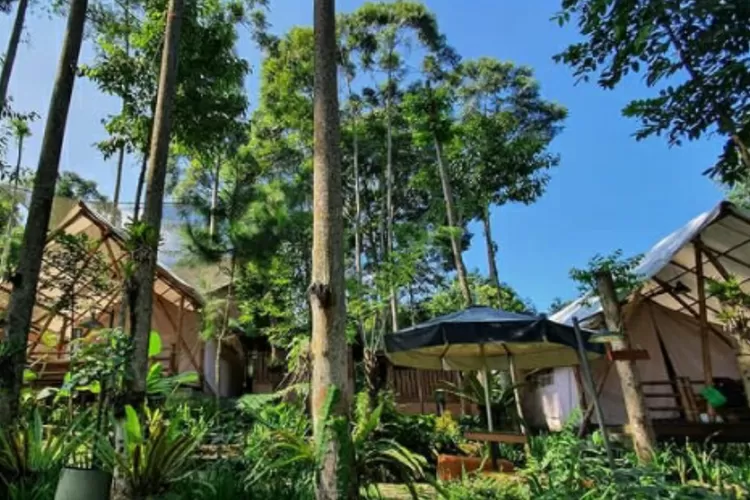 Pondok Rasmala dengan Glamping nuansa pedesaan yang asri (Instagram/@pondokrasmala)