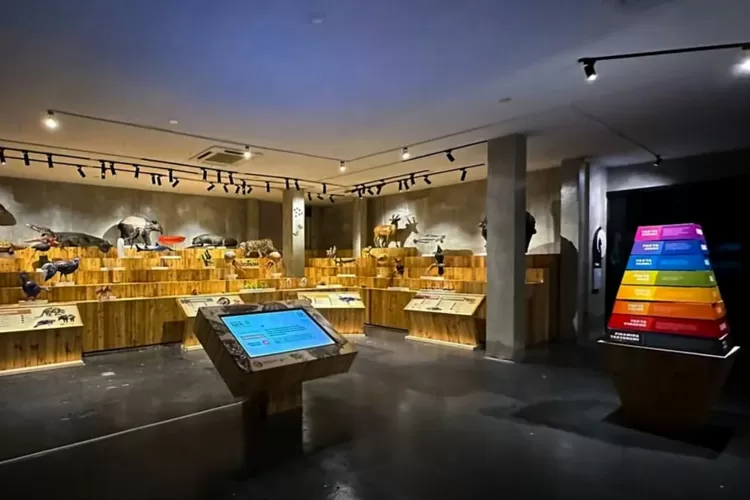 Beberapa koleksi satwa di Animalium Bogor  (Instagram/@animalium.id )