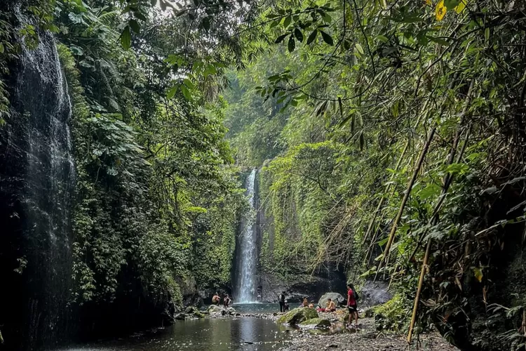 Panorama curug tersmbunyi di Baturraden Curug Juneng (Instagram/@pangeraann_)