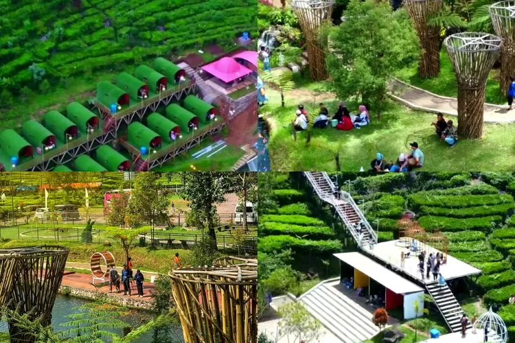 Penginapan unik Hobbit dan pemandangan kebun teh yang memukau di Ecopark Curug Tilu (Instagram/@ecoparkcurugtulu.official )