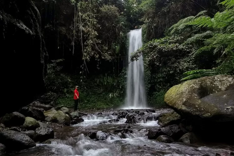 Suasana alam yang asri di Curug Pemandian Tuan, salah satu air terjun tersembunyi di Subang (Instagram/@wen.de2)