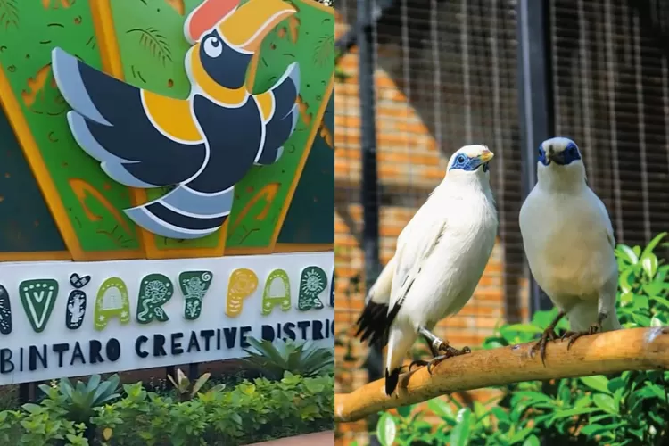 Satwa di Aviary Park Indonesia Tanggerang Selatan (Instagram/@aviaryparkindonesia)