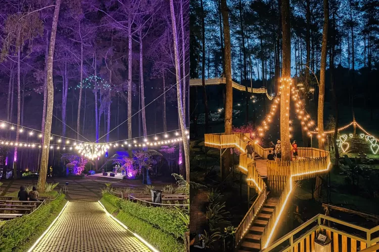 Suasana menjelang malam di Orchid Forest Cikole diterangi lampu yang membuat semakin syahdu  (Instagram/@orchidforestcikole)