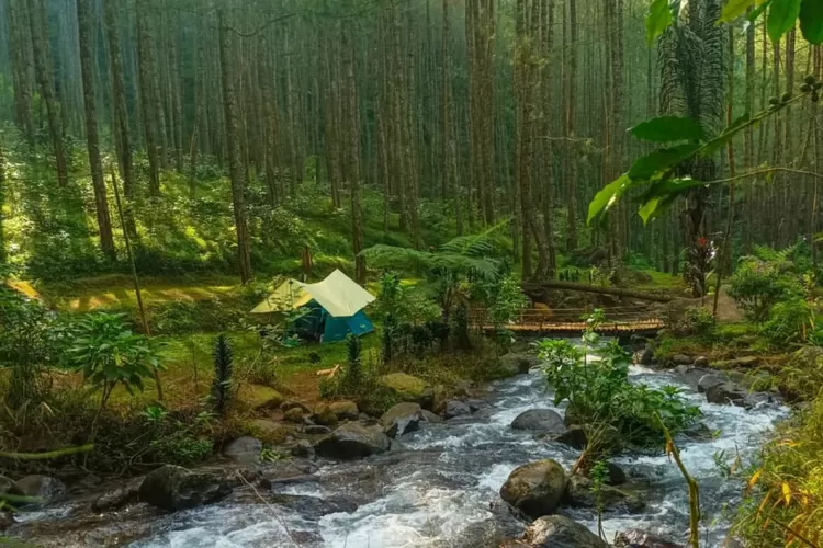 Keindahan Kampoeng Ciherang, Sumedang ini syhadu banget kaya di negeri dongeng (Instagram/@aria_giffari)