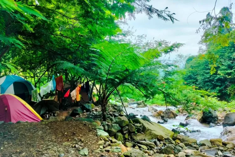 Camping pinggiran sungai di Leuwi Areuy Sentul (Instagram/@lewui_areuysentul)