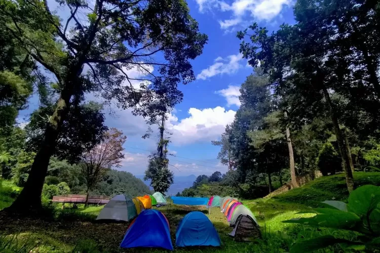 Salah satu tempat camping kids friendly di Bogor, Bumi Perkemahan Sukamantri (Instagram/@bumiperkemahansukamantri_tnghs)