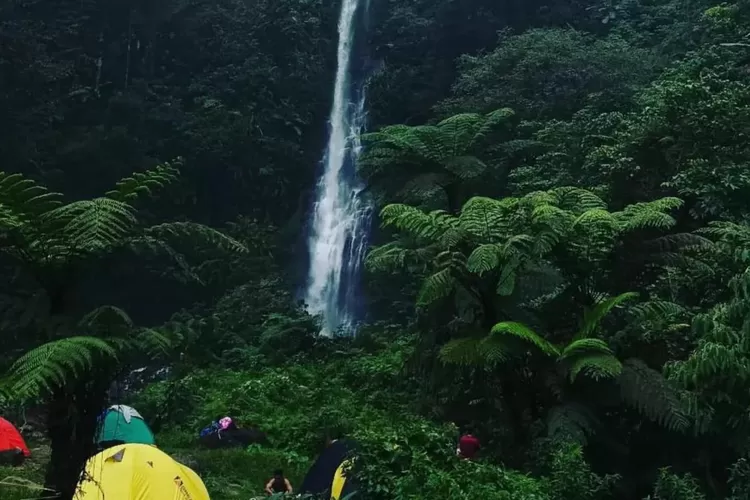 Pemandangan tempat camping yang langsung air terjun di Curug Cijalu Subang (Instagram/@curugcijalu_outdoor)