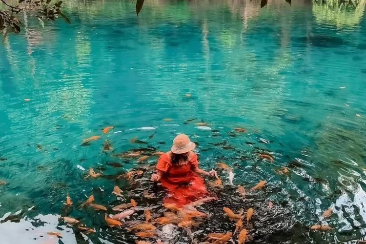 Pesona keindahan danau di Situ Cipanten Majalengka (Instagram/@_mels711_)