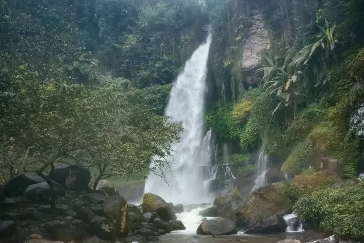 Pesona Curug Orok yang tersembunyi di Garut (Instagram/@dadanwardana99)