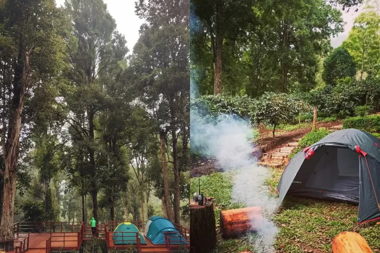 Keindagan pepohonan rimbun di Mala Green Camp Bandung (Instagram/@malagreencamp)