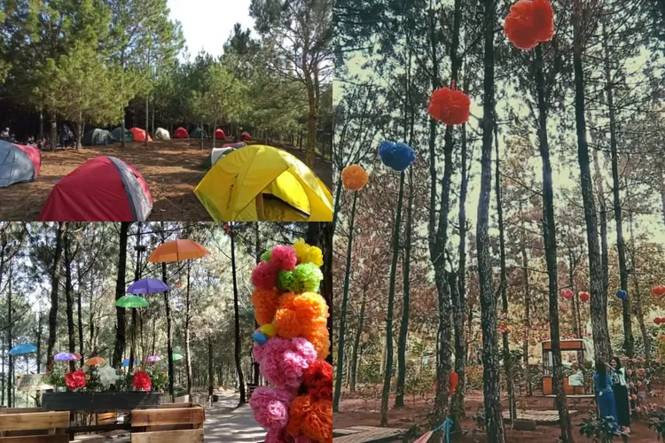 Pesona dari Maranganani Camp di Bandung yang cocok untuk bersantai (Instagram/@maranganani_camp)