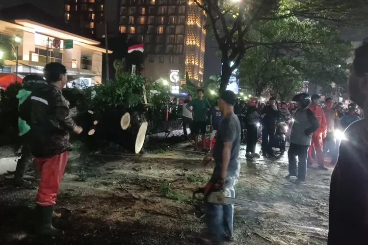 Penanganan pohon tumbang di Jalan Margonda Raya, oleh Satgas DLHK Kota Depok, Sabtu (1/6).