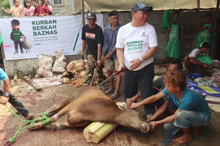Prosesi pemotongan hewan kurban pada program Berkah Baznas di Kelurahan Curug, Kecamatan Bojongsari, Kota Depok, Senin (17/6). (ISTIMEWA)