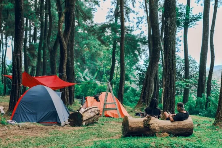 Camping di New Ciputri Bogor yang nyaman dan seru (Instagram/@newciputribogor)