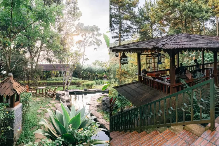 Kafe Alam yang memiliki nuansa alam dengan pepohonan yang sejuk (Instagram/@kafealam_)