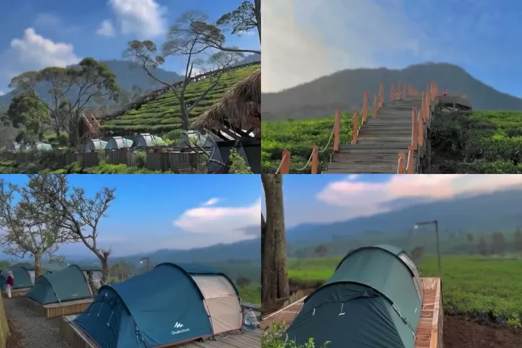 View tempat camping di Kiara Manuk Pangalengan Bandung (Instagram/@kiaramanukofficial)