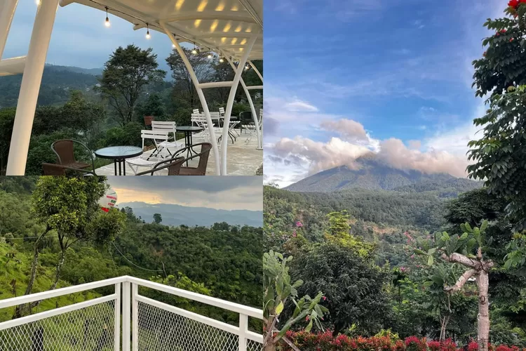 Keindahan pemandangan alam di Warung Bukit Stroberi (Instagram/@bukitstoberi)