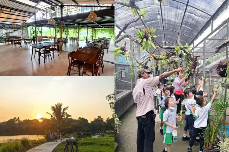 Jasmine Park dengan cafe, resto dan mini zoo yang menarik (Instagram/@jasmineparkind)
