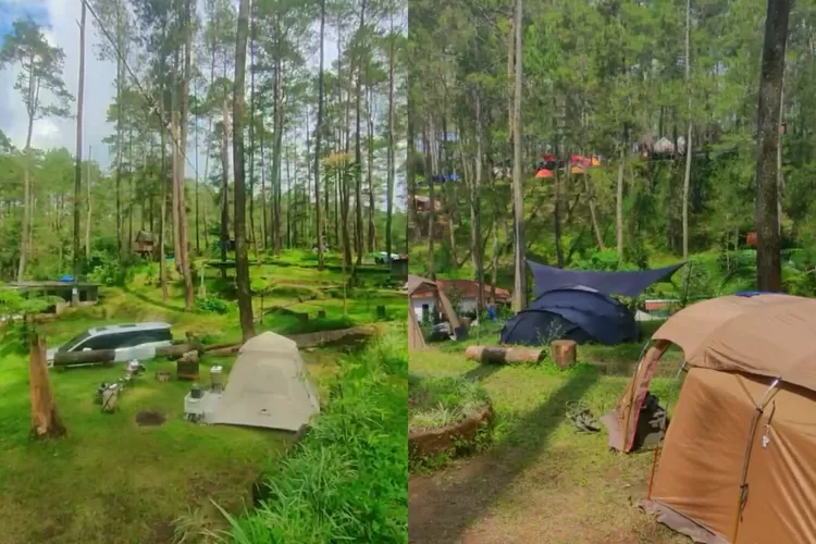Tempat camping di Pine Valley Cikole  ( Instagram/@pinevalley.cikole)