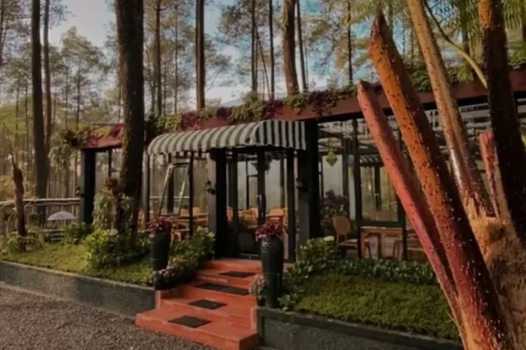 Pesona Lapinea Cafe Cikole Bandung (Instagram/@lapineacafe)