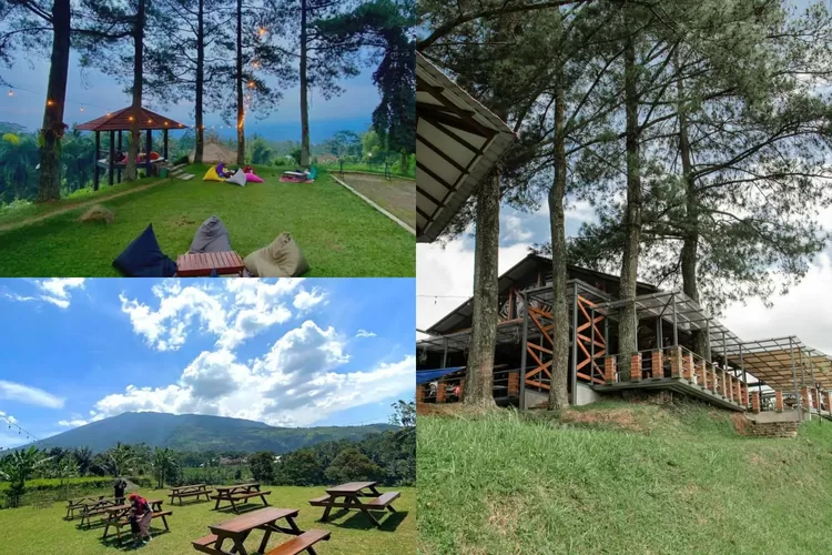 Pesona Kopi Salacca yang indah dan bisa buat healing (Instagram/@kopi.salacca)