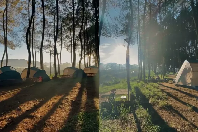 Sunrise di Datar Pinus Camp yang syahdu (Instagram/@datarpinus.official)