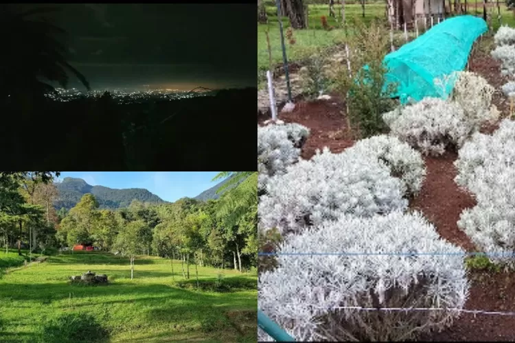 Hidden gem tempat camping, Camping Ground Bobojong (Satria Vega)