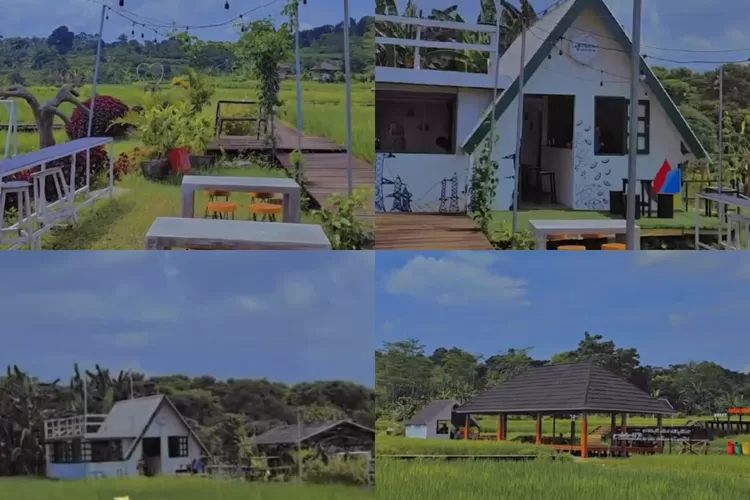 Keindahan hamparan persawahan di Gardu Coffe Space (Instagram/@gardu_coffeespace)