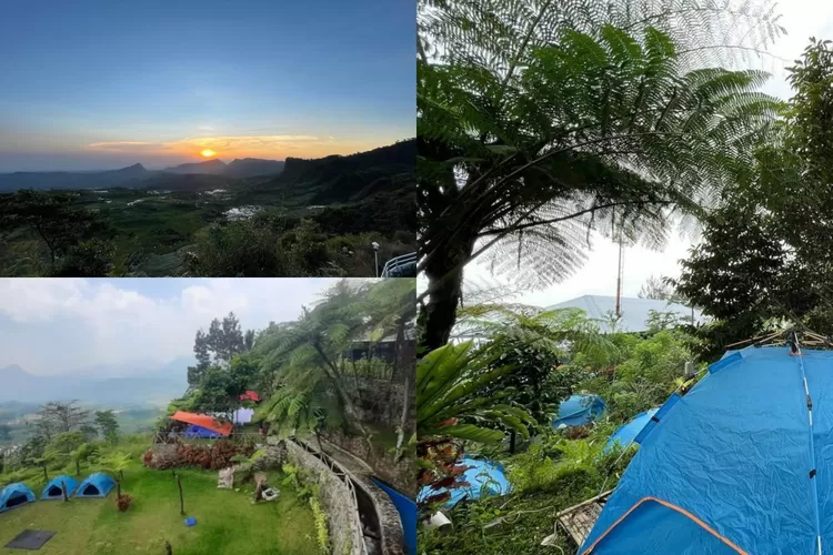 Pesona tempat camping yang adem dan syahdu di Bogor (Instagram/@lembahpinus.id)