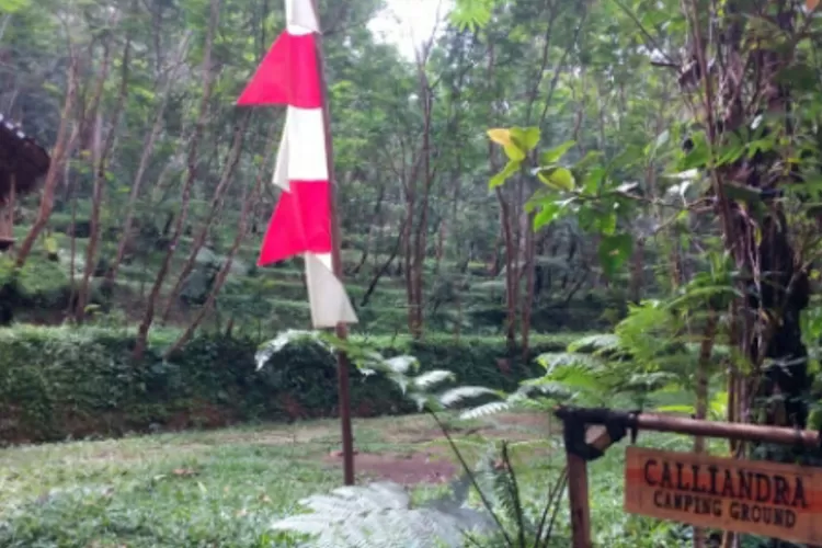 Hidden gem tempat camping di kaki gunung Caliandra Camoing Ground (Kunto Widiarto)