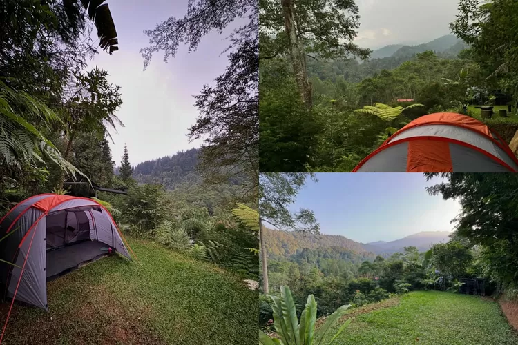 Bumi Kuray Family Campsite di jawasan Gunung Gede Pangrango (Instagram/@bumi_kuray)