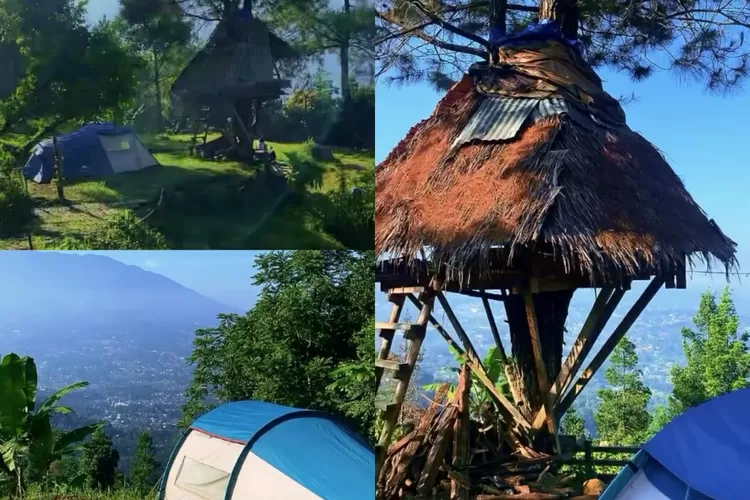 Tempat camping yang cocok buat healing, Matungkas Top Hill Camping Ground (Instagram/@matungkascamp)