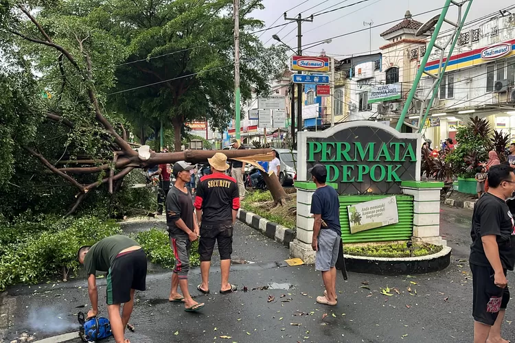 Salah satu kejadian pohon tumbang akibat peristiwa Angin Puting Beliung di beberapa waktu lalu, di Perumahan Permata Depok, Kelurahan Pondok Jaya, Kecamatan Cipayung. (DOKUMEN RADAR DEPOK)