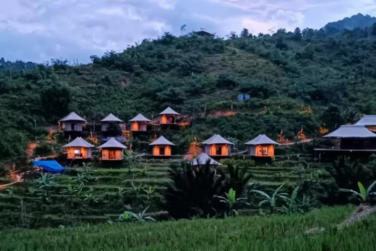 Pemandangan alam di Pagkarangan Glamping Resort dengan haparan sawah (Instagram/@pakarangan.id)