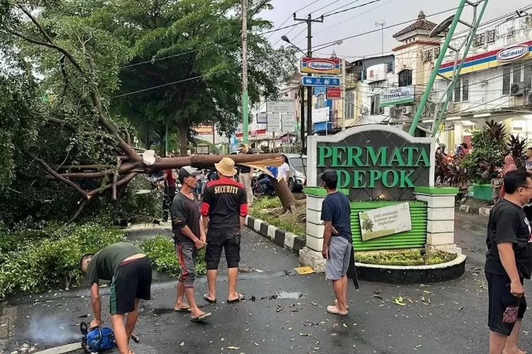 Salah satu kejadian pohon tumbang akibat peristiwa Angin Puting Beliung di beberapa waktu lalu, di Perumahan Permata Depok, Kelurahan Pondok Jaya, Kecamatan Cipayung.