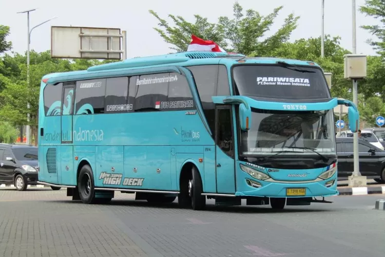 Bus Pariwisata Piknik Bus