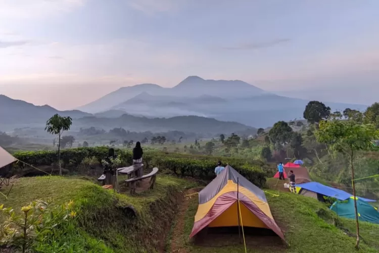 Suasana syahdu dengan view hamparan kebun teh di Smart Camp Gunung Luhur (Instagram/@iicon_chaan)