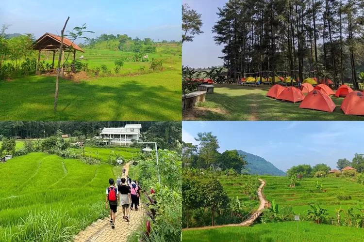 Liburan dengan aktivitas seru di Hutan Hujan Sentul (Instagram/@hutanhujansentul)