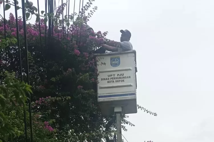 Petugas Dishub Kota Depok saat memperbaiki lampu jalan alias PJU (DOKUMEN DISHUB KOTA DEPOK)