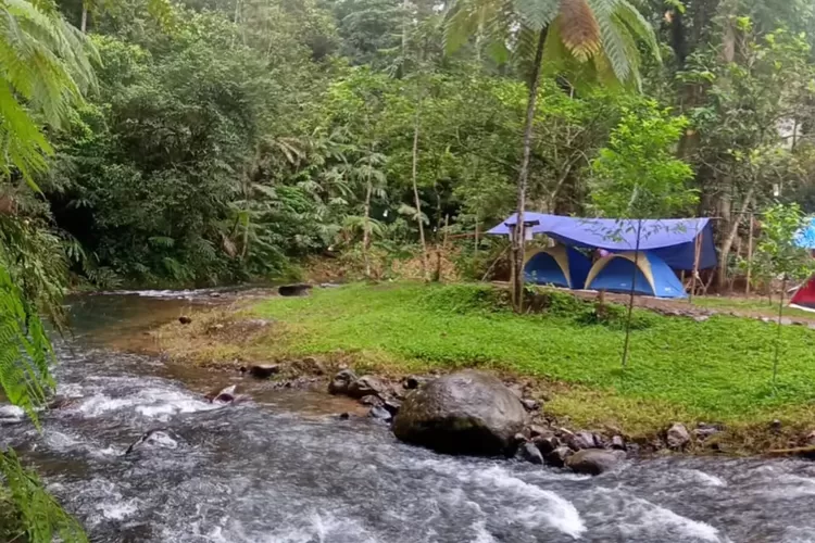 Pesona hidden gem Bumi Perkemahan Citalahab Central (Instagram/@camping_ground_citalahab)