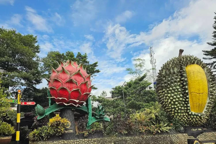 Kebun Durian Warso Farm menawarkan makan durian langsung di kebun durian (cintia andini)