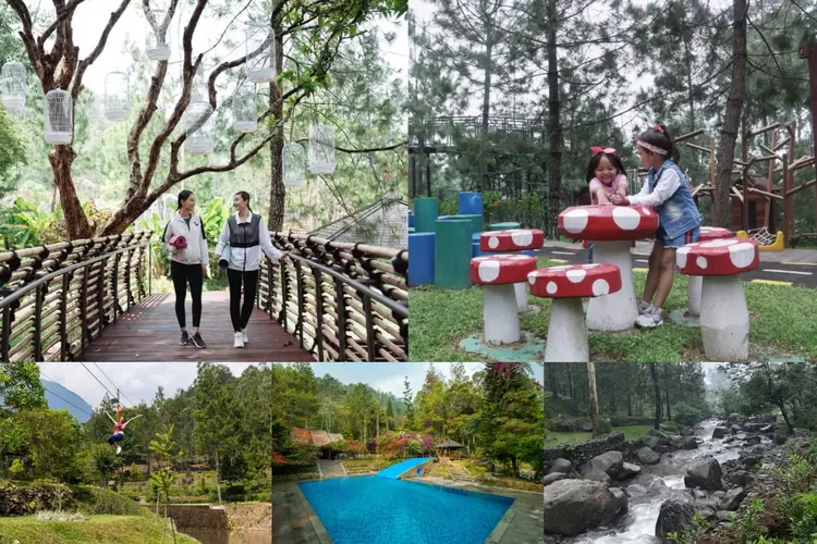 Suasana dan kegiatan seru di Taman Wisata Bougenville Bandung (tamanwisatabougenville.com)