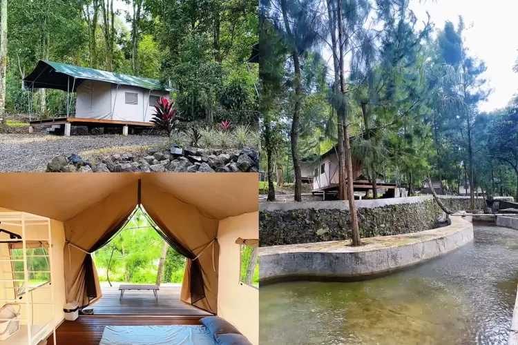Glamping nyaman di Banyu Pinus Camper Park Subang (Instagram/@banyupinus)