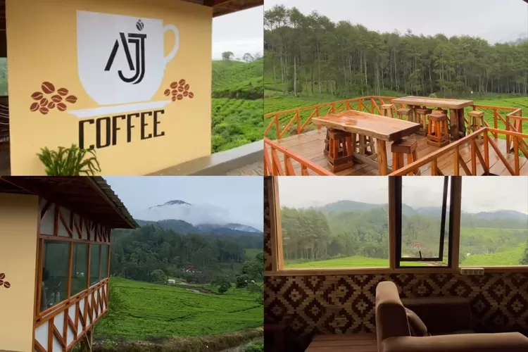 AJ Coffee Pangalengan miliki pemandangan kebun teh yang indah cocok untuk nongkrong (Instagram/@official.ajcoffee)