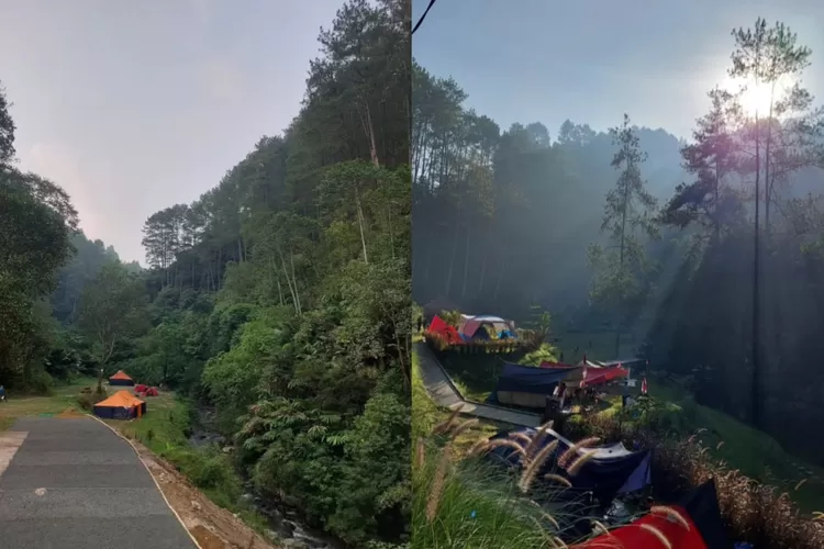 Pesona dari Rainbow Roverside Camp yang letaknya di tengah hutan dan pinggiran sungai (Instagram/@rainbow_riversidecamp)