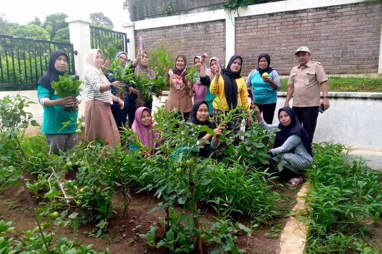 BERMANFAAT : Kasi Ekbang Kelurahan Sawangan (tengah) memanen sayur bersama Kelompok Wanita Tani (KWT) di Kampung Cerdas Ramah Keluarga (Caraka) RT2/3, Kelurahan Pengasinan, Kecamatan Sawangan. Selasa (14/1/2025).  (RISKY DWI LESTARI/RADAR DEPOK)