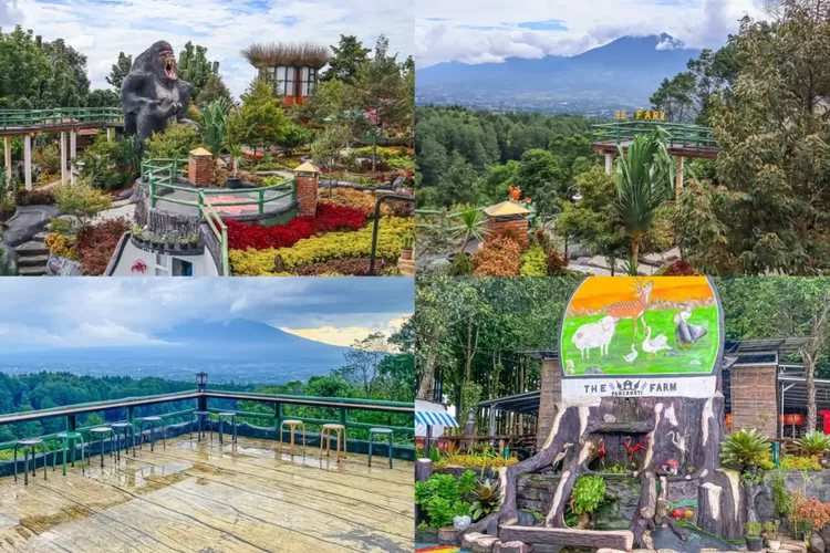 The Farm Pancawati, destinasi wisata keluarga yang mudah dan asik (Instagram/@bogorinside)